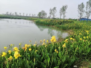 梁園高速路口景觀項(xiàng)目